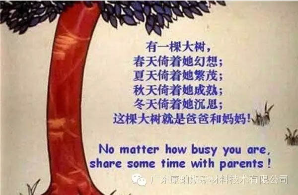 樹就是我們的父母！請愛護你們身邊的這棵樹！